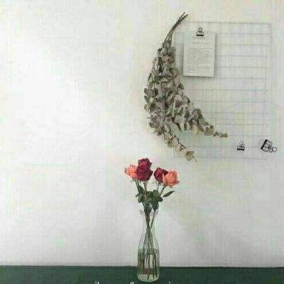 星际射手游戏下载